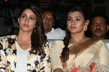 Mister Movie Pre Release Function